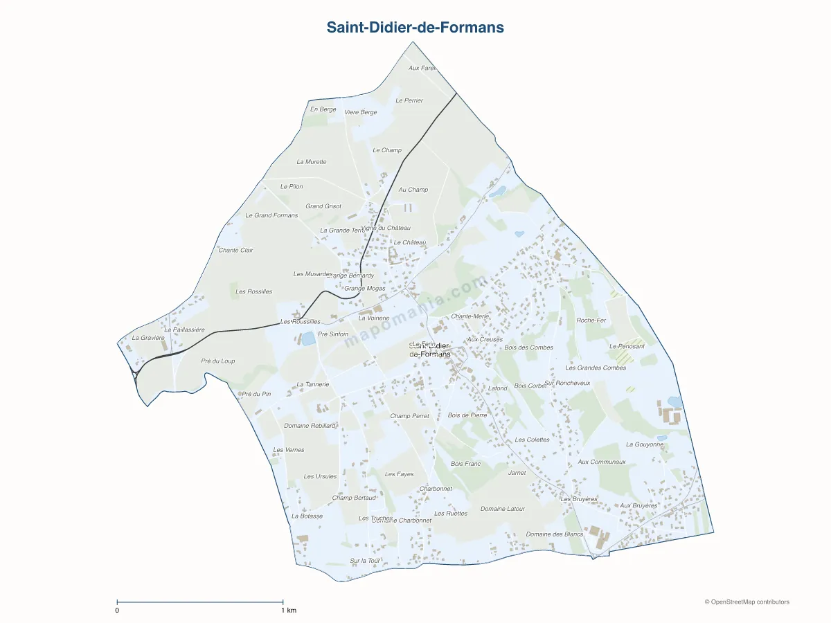 Carte de Saint-Didier-de-Formans à personnaliser