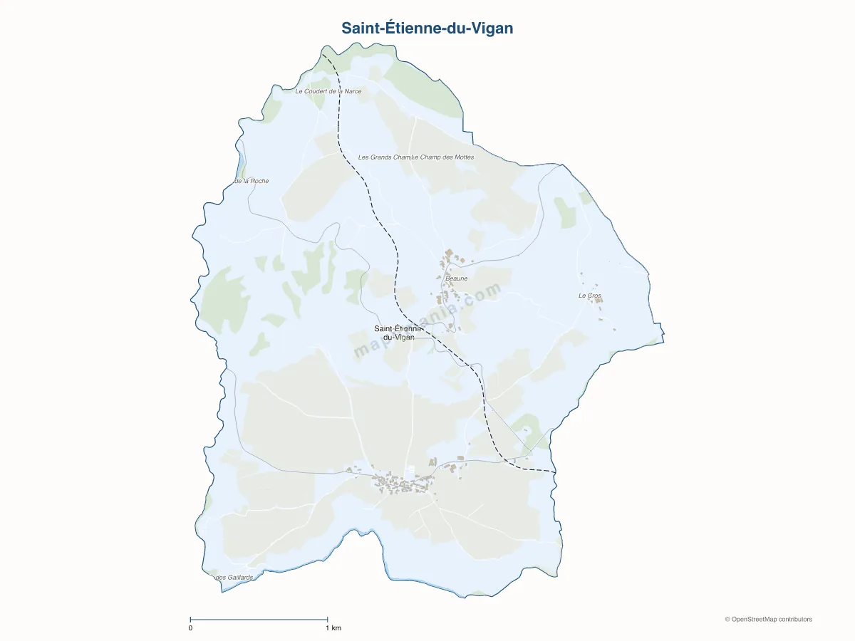 Carte de Saint-Étienne-du-Vigan à personnaliser