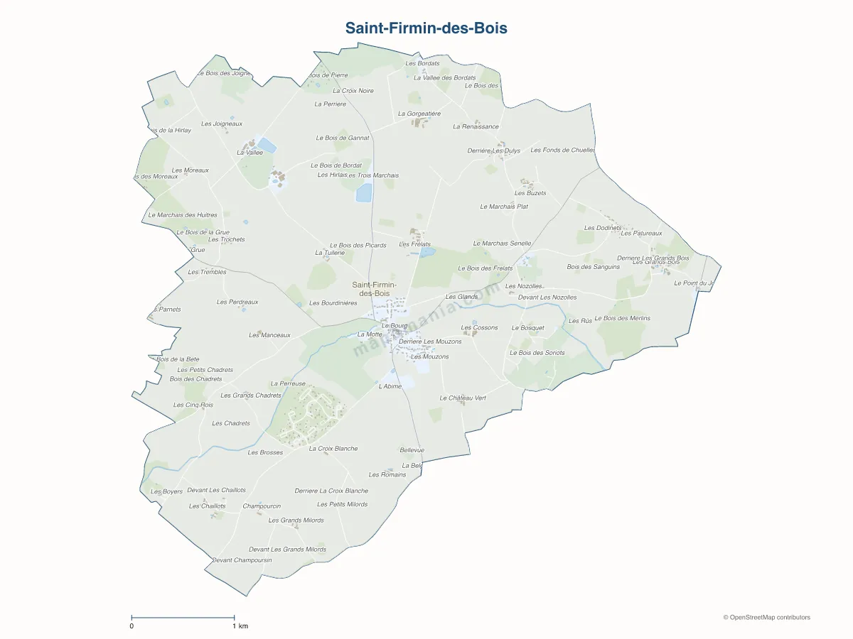 Carte de Saint-Firmin-des-Bois à personnaliser