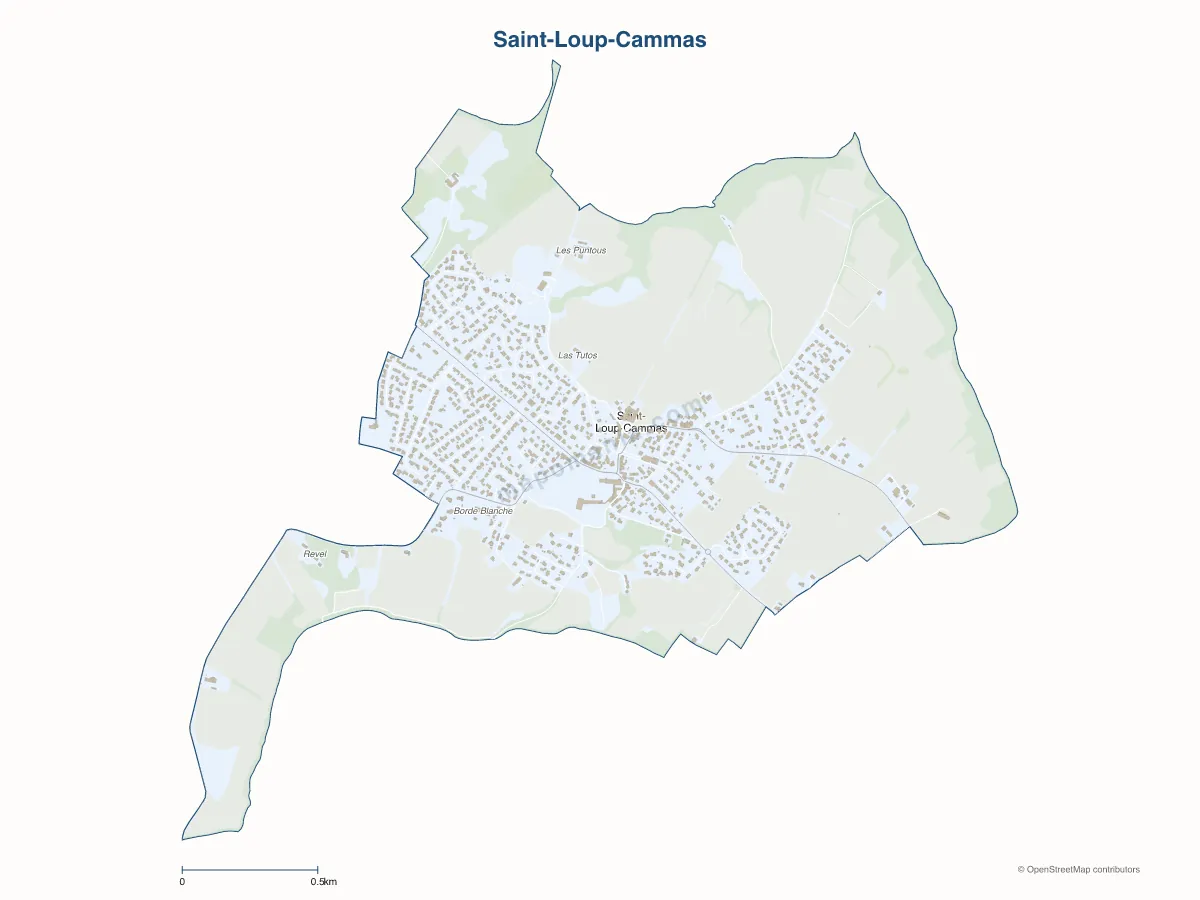 Carte de Saint-Loup-Cammas à personnaliser