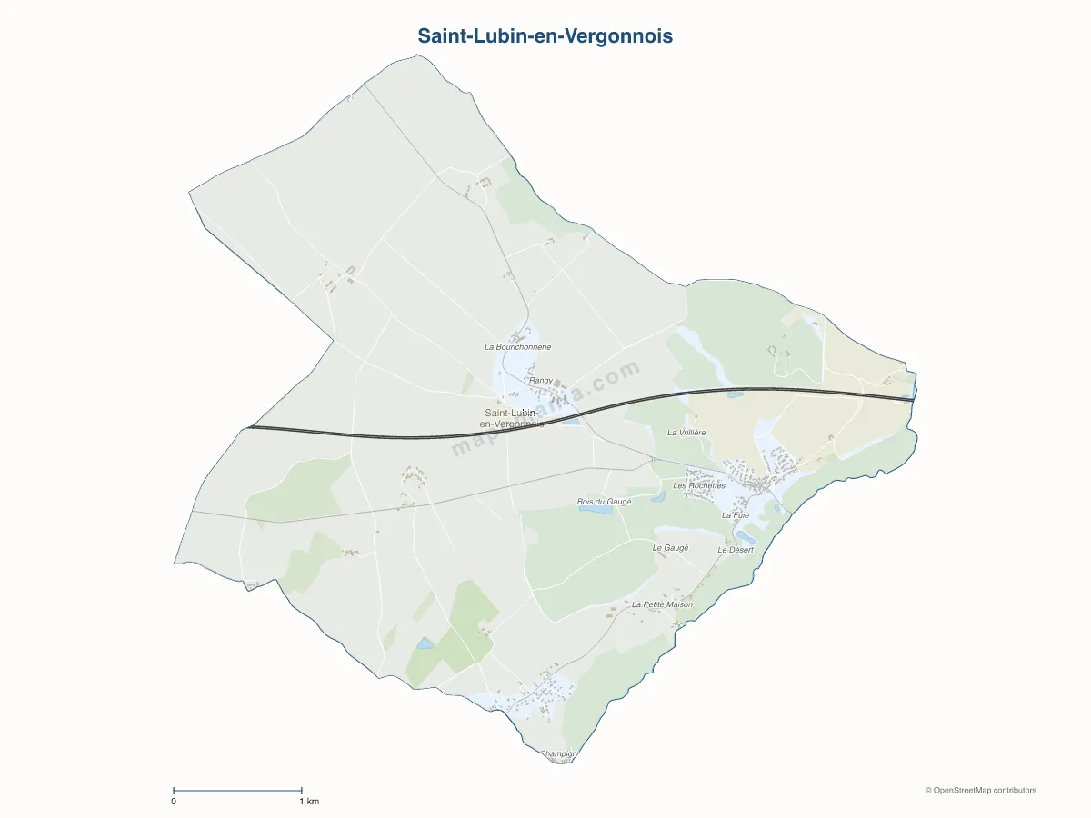Carte de Saint-Lubin-en-Vergonnois à personnaliser