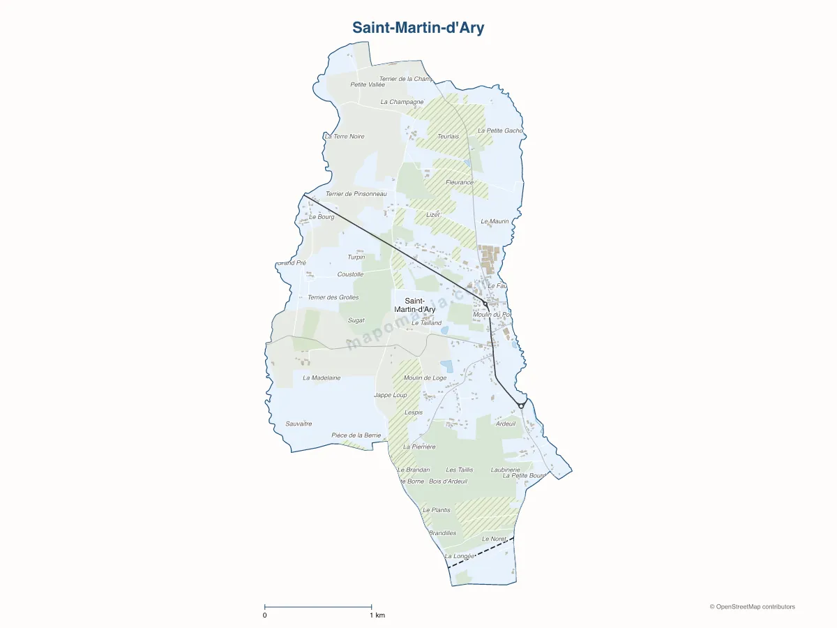 Carte de Saint-Martin-d'Ary à personnaliser
