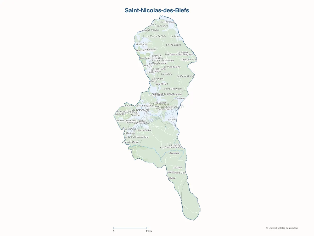 Carte de Saint-Nicolas-des-Biefs à personnaliser