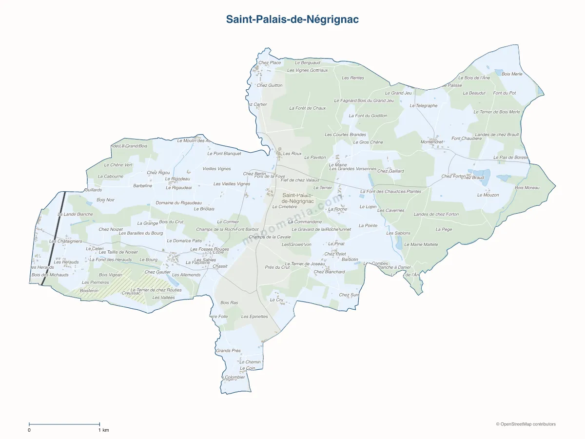 Carte de Saint-Palais-de-Négrignac à personnaliser