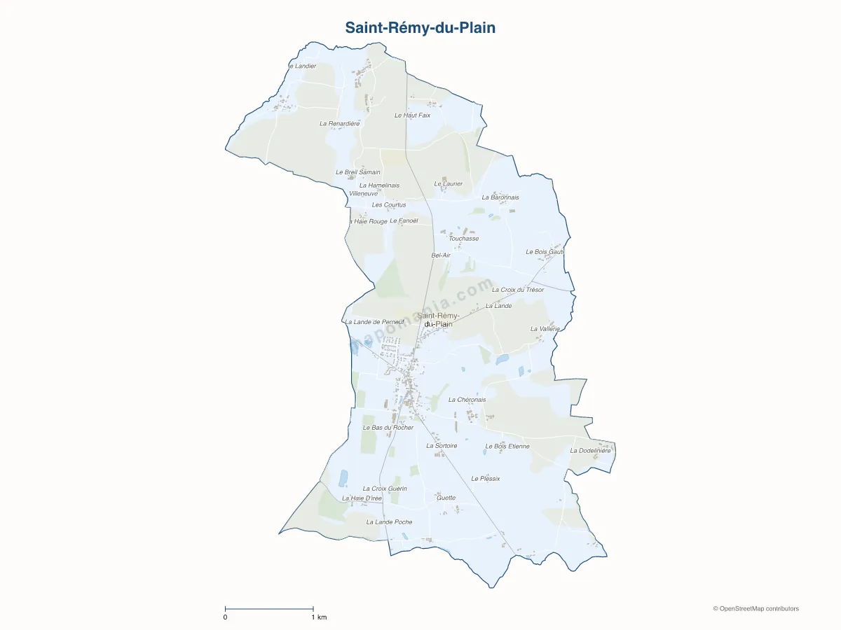 Carte de Saint-Rémy-du-Plain à personnaliser