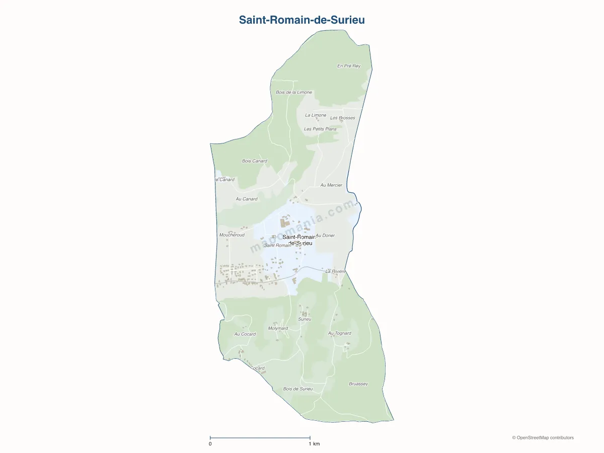 Carte de Saint-Romain-de-Surieu à personnaliser