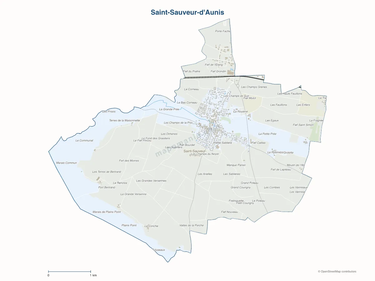 Carte de Saint-Sauveur-d'Aunis à personnaliser