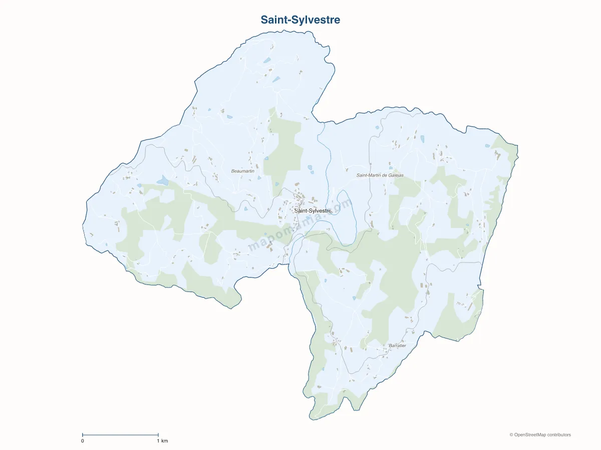 Carte de Saint-Sylvestre à personnaliser