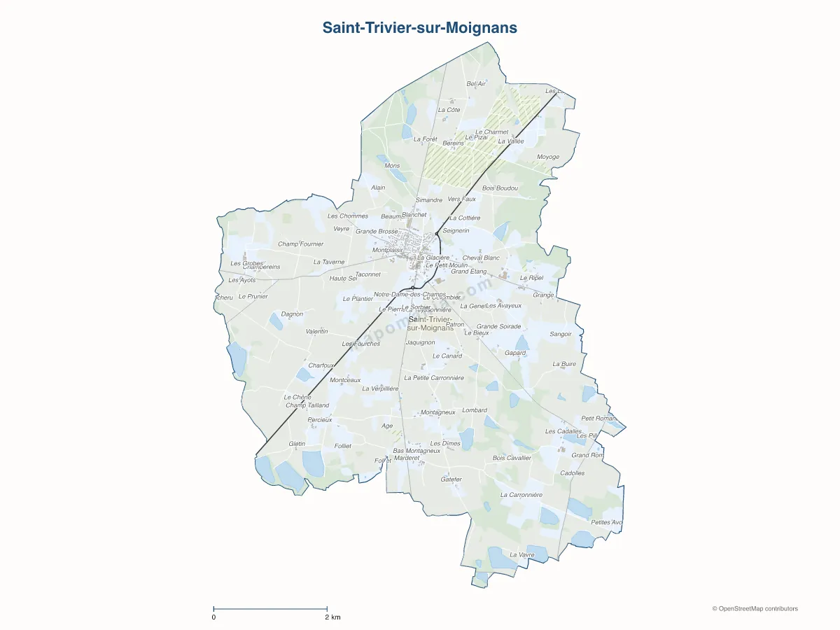 Carte de Saint-Trivier-sur-Moignans à personnaliser