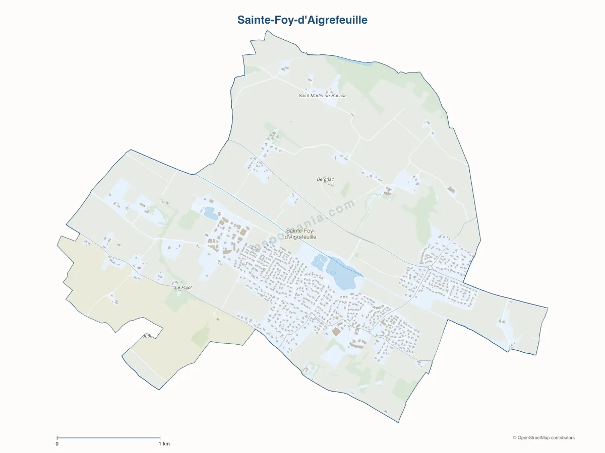 Carte de Sainte-Foy-d'Aigrefeuille à personnaliser