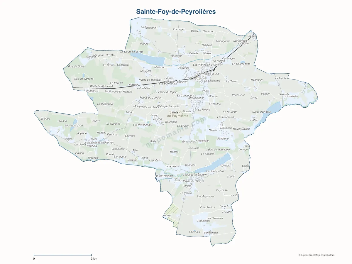 Carte de Sainte-Foy-de-Peyrolières à personnaliser