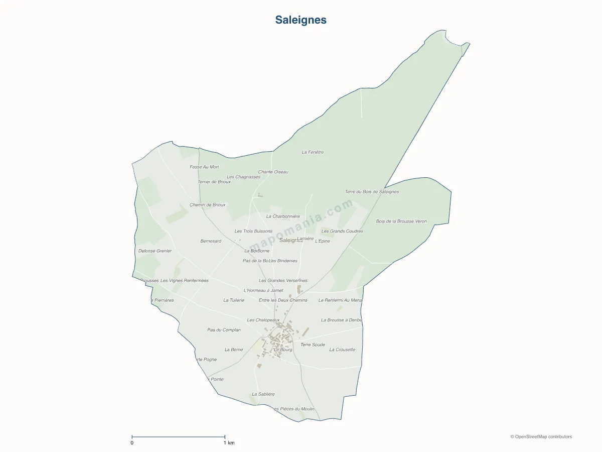 Carte de Saleignes à personnaliser