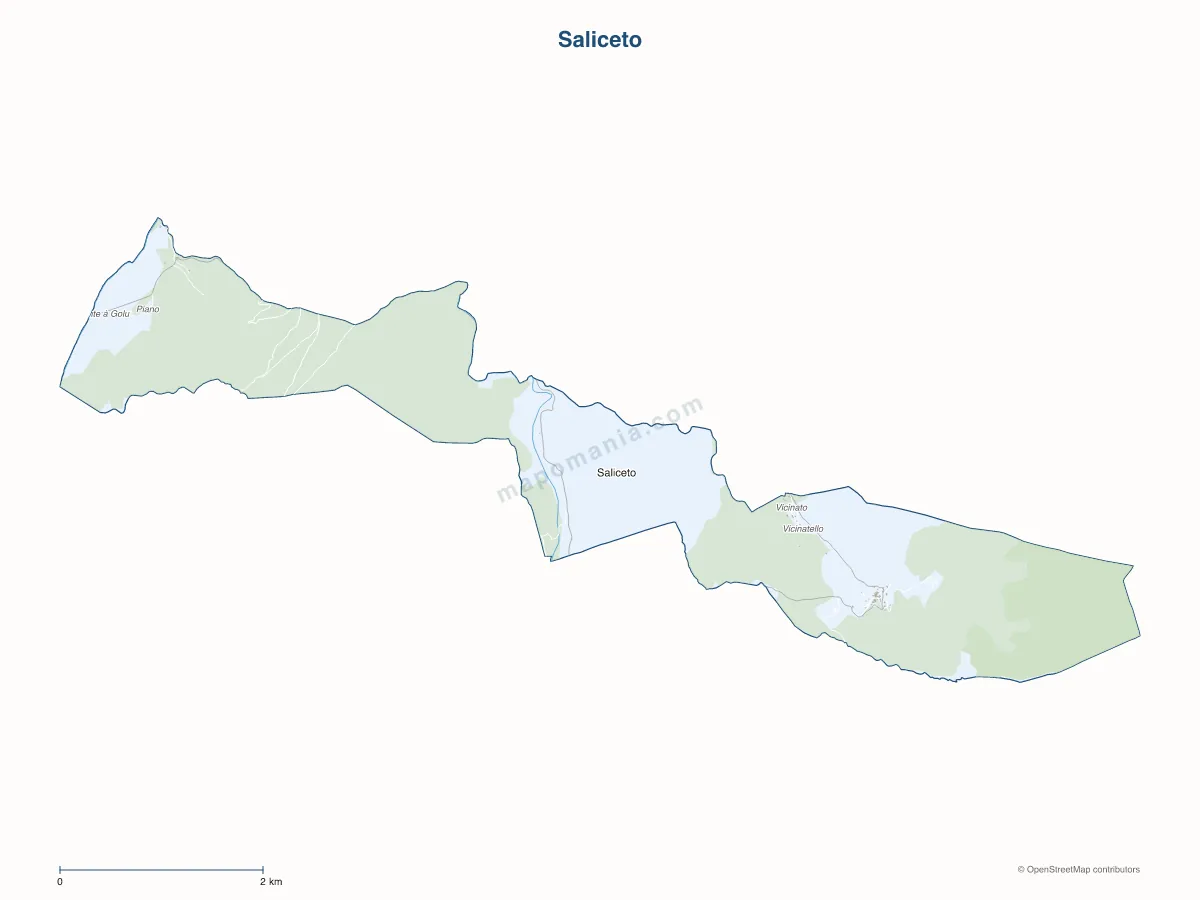 Carte de Saliceto à personnaliser