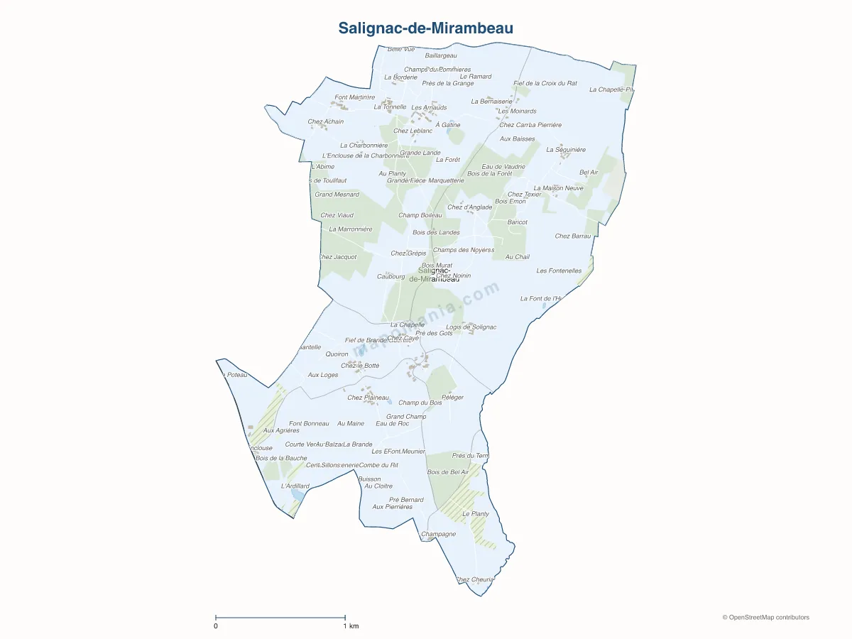 Carte de Salignac-de-Mirambeau à personnaliser