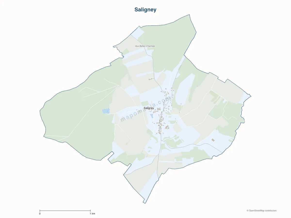 Carte de Saligney à personnaliser