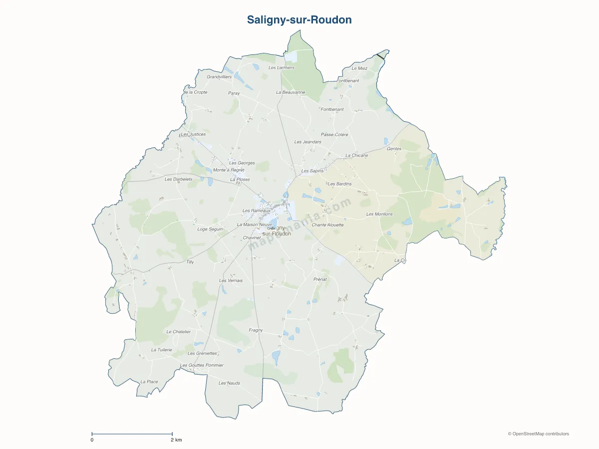 Carte de Saligny-sur-Roudon à personnaliser