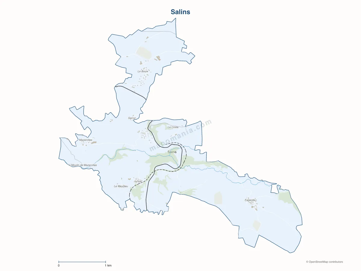 Carte de Salins à personnaliser