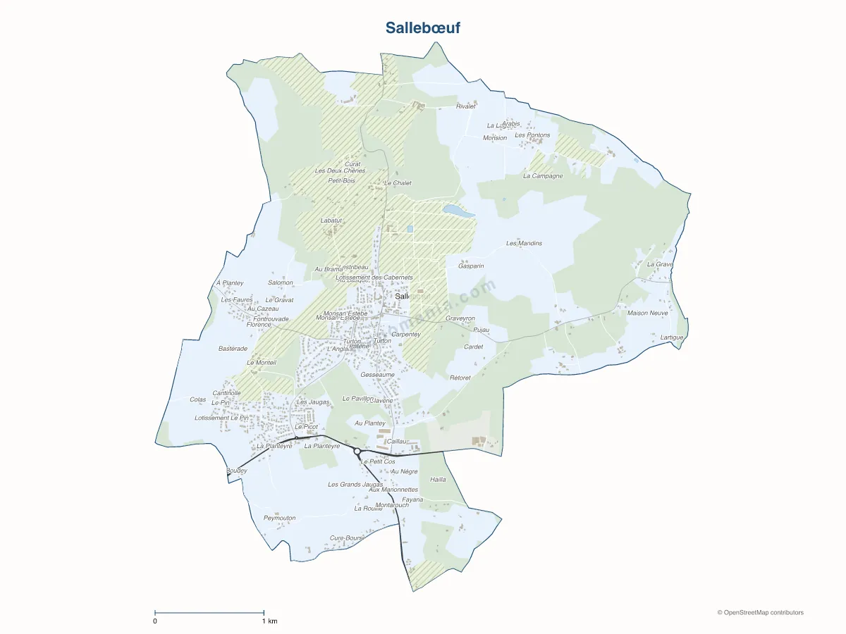Carte de Sallebœuf à personnaliser