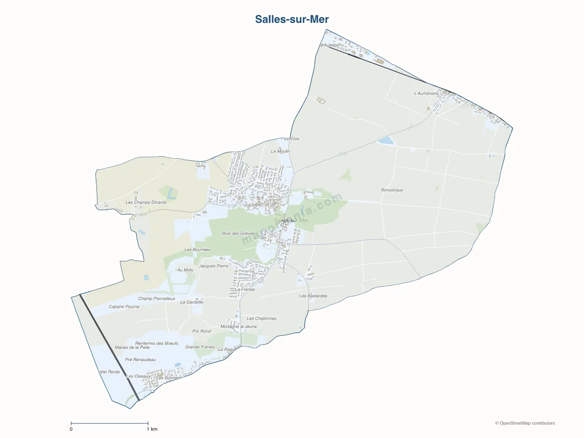 Carte de Salles-sur-Mer à personnaliser