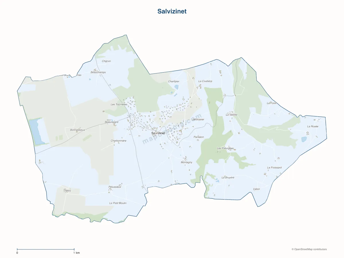 Carte de Salvizinet à personnaliser