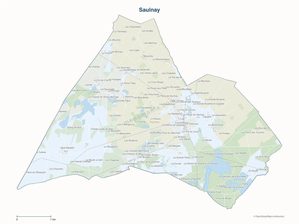 Carte de Saulnay à personnaliser
