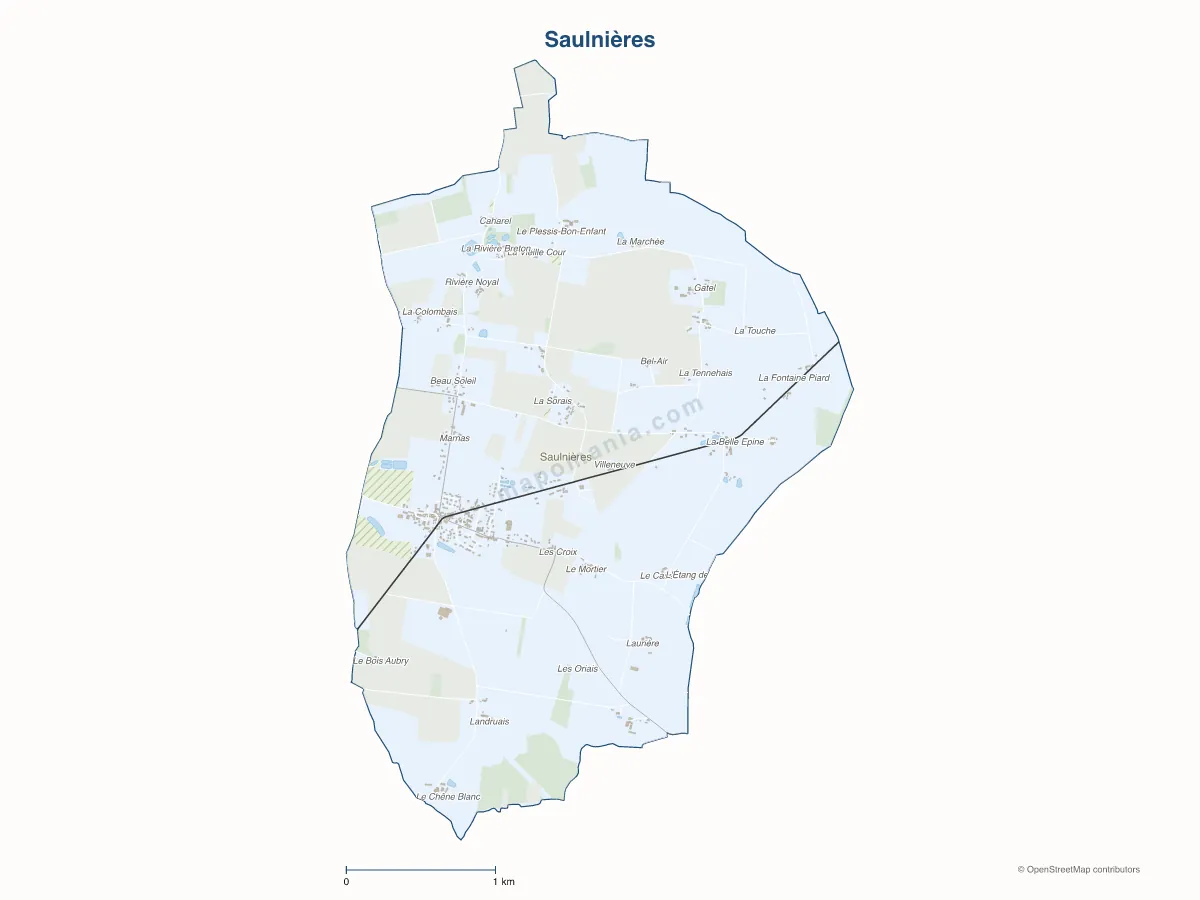 Carte de Saulnières à personnaliser