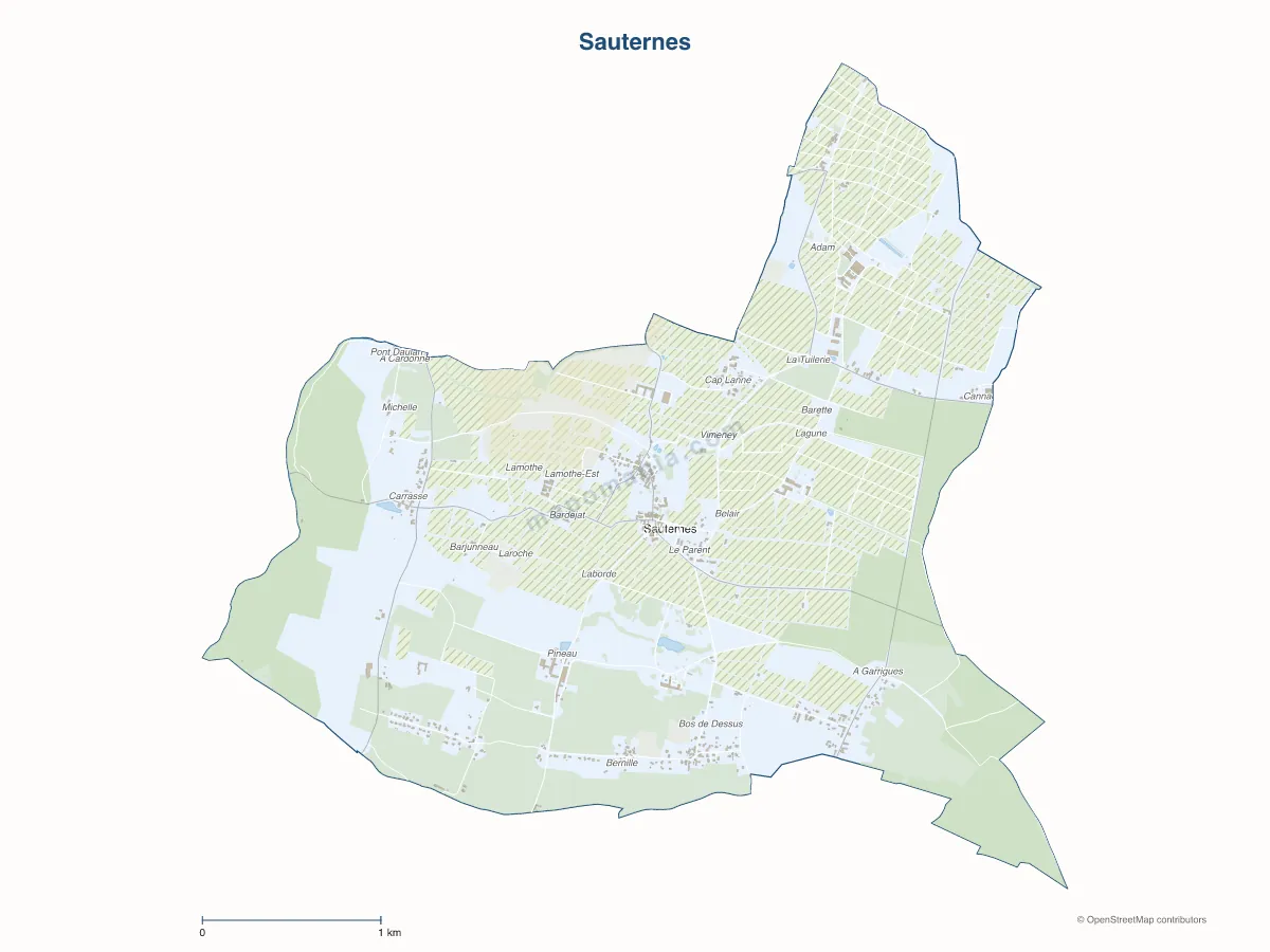 Carte de Sauternes à personnaliser