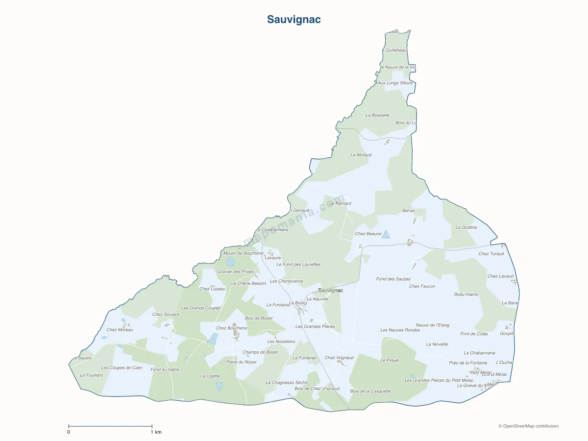 Carte de Sauvignac à personnaliser
