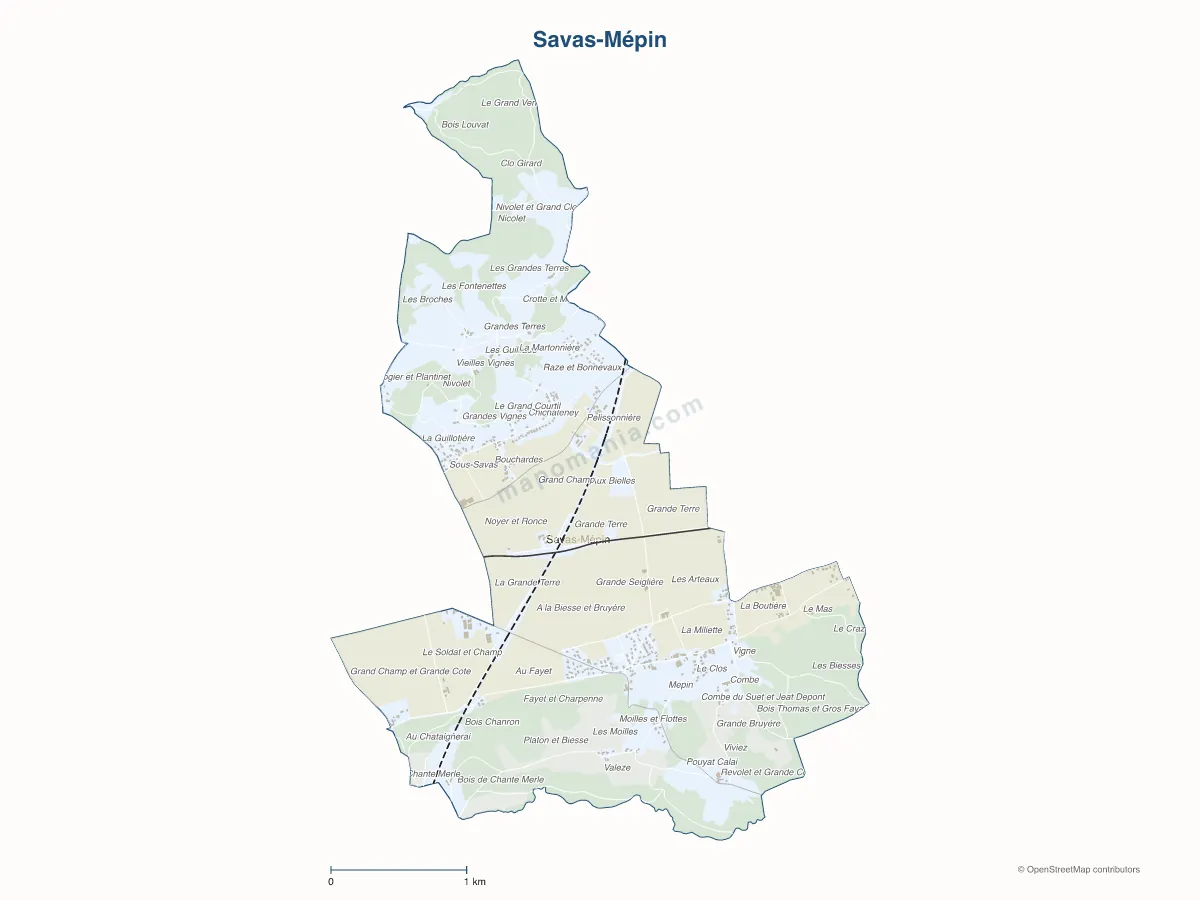 Carte de Savas-Mépin à personnaliser