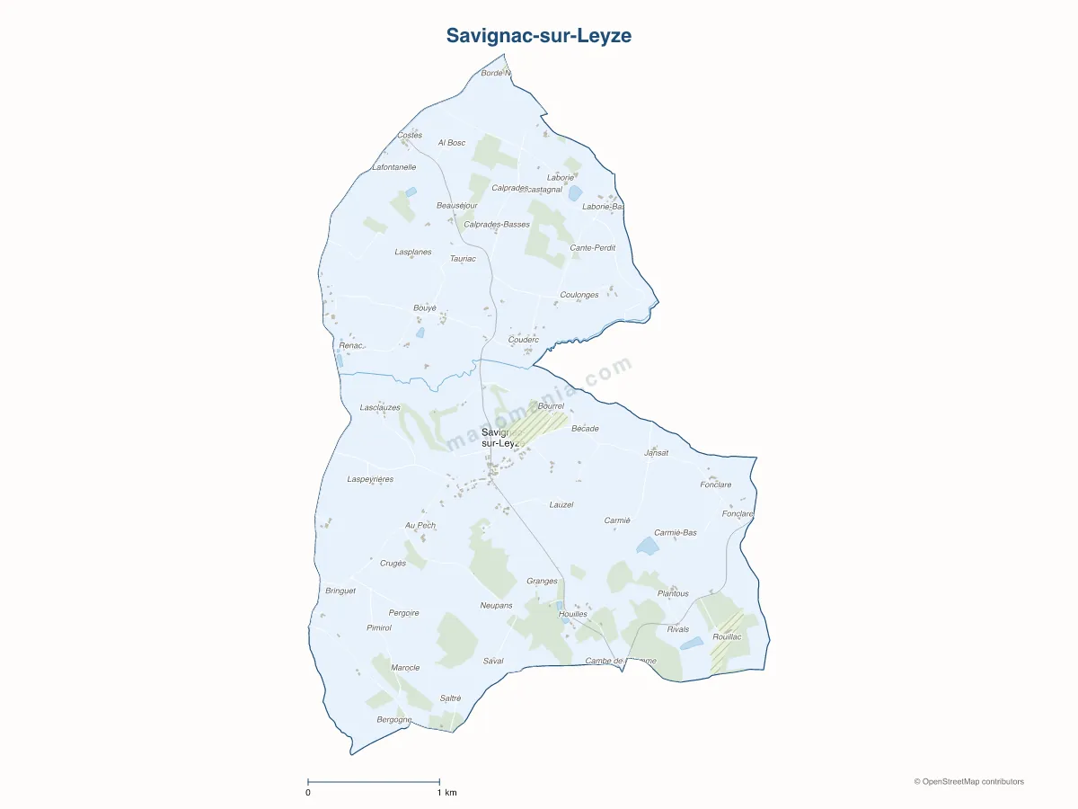 Carte de Savignac-sur-Leyze à personnaliser