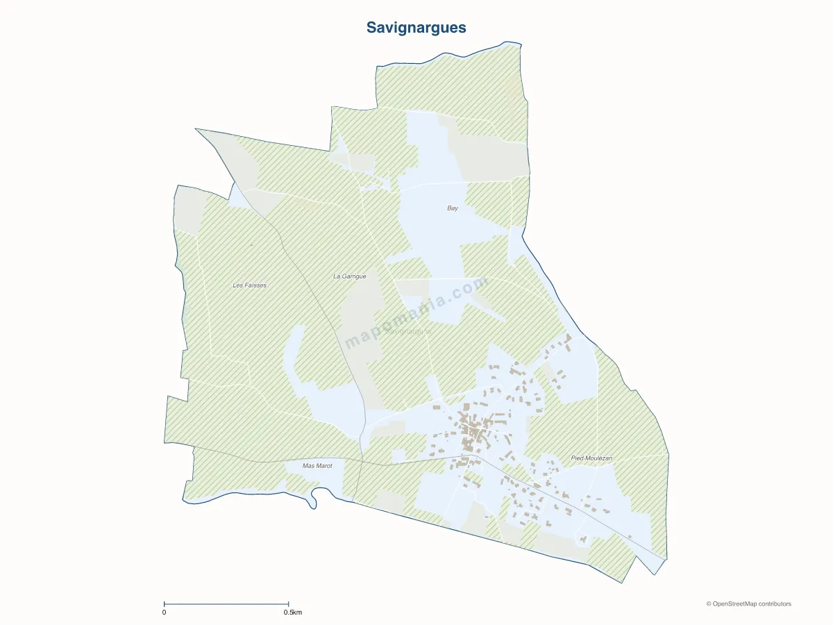 Carte de Savignargues à personnaliser