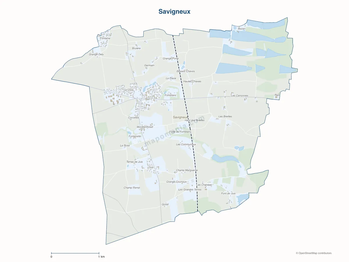 Carte de Savigneux à personnaliser