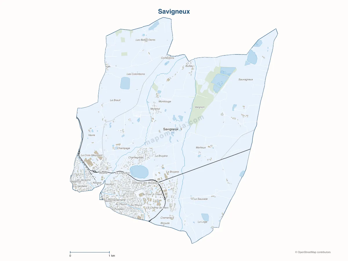 Carte de Savigneux à personnaliser