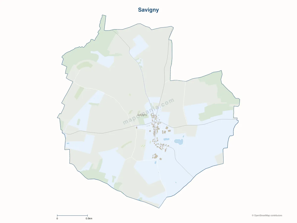 Carte de Savigny à personnaliser