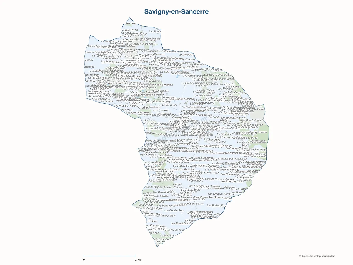 Carte de Savigny-en-Sancerre à personnaliser