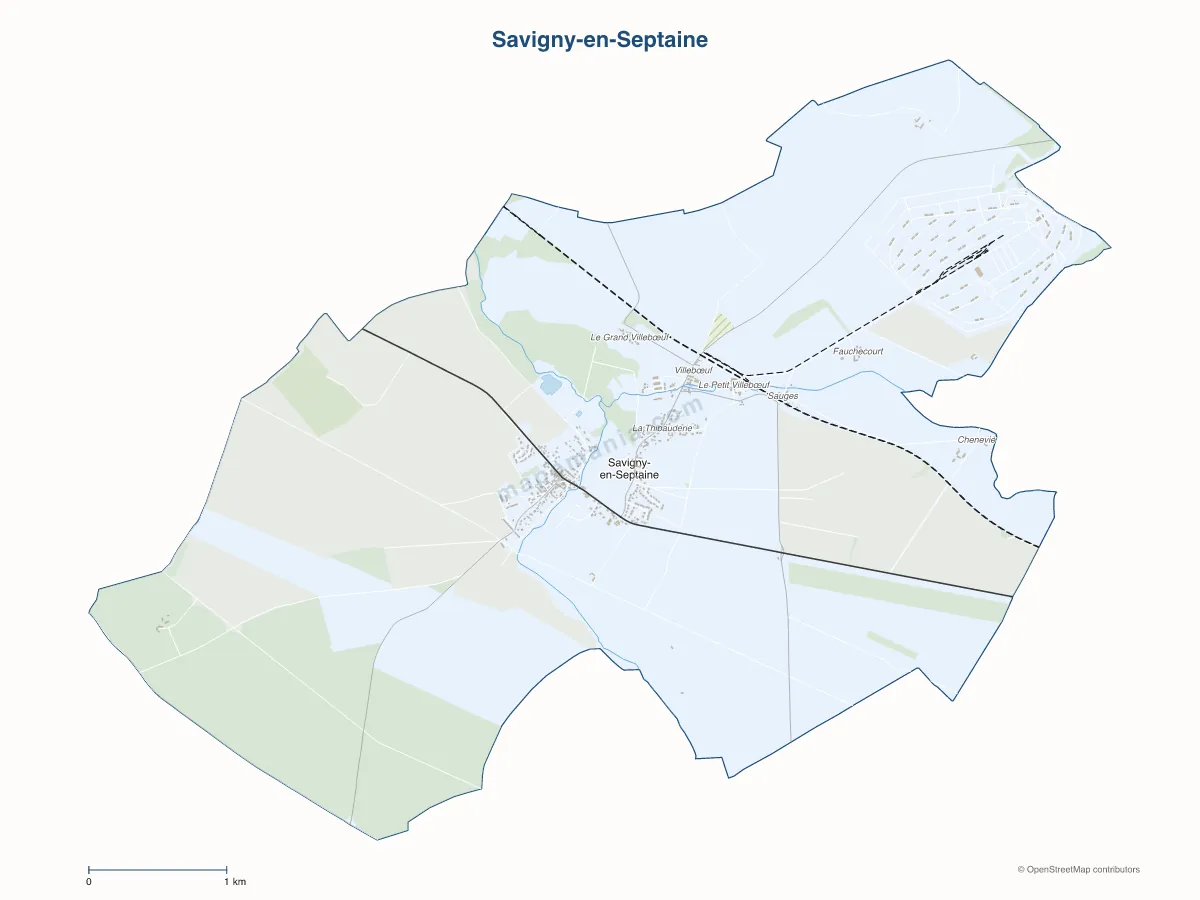 Carte de Savigny-en-Septaine à personnaliser