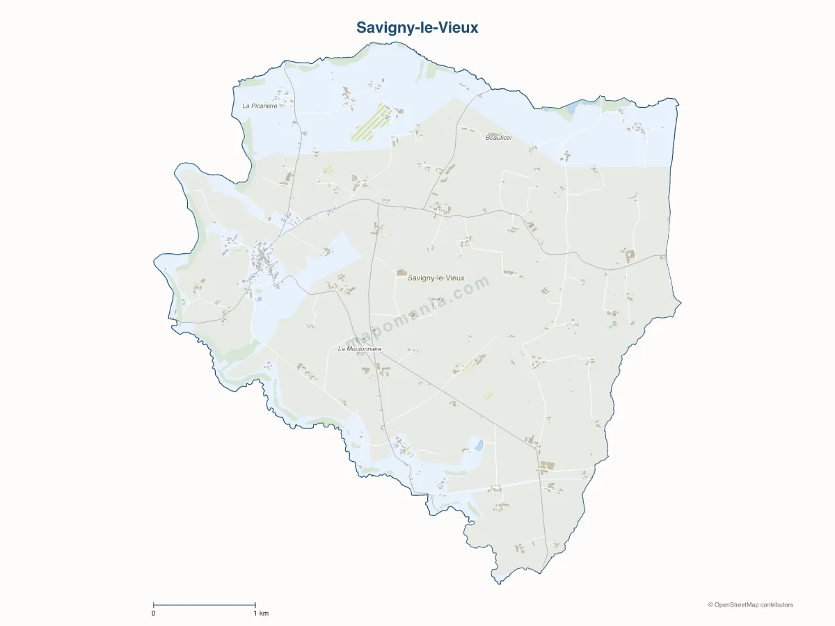 Carte de Savigny-le-Vieux à personnaliser