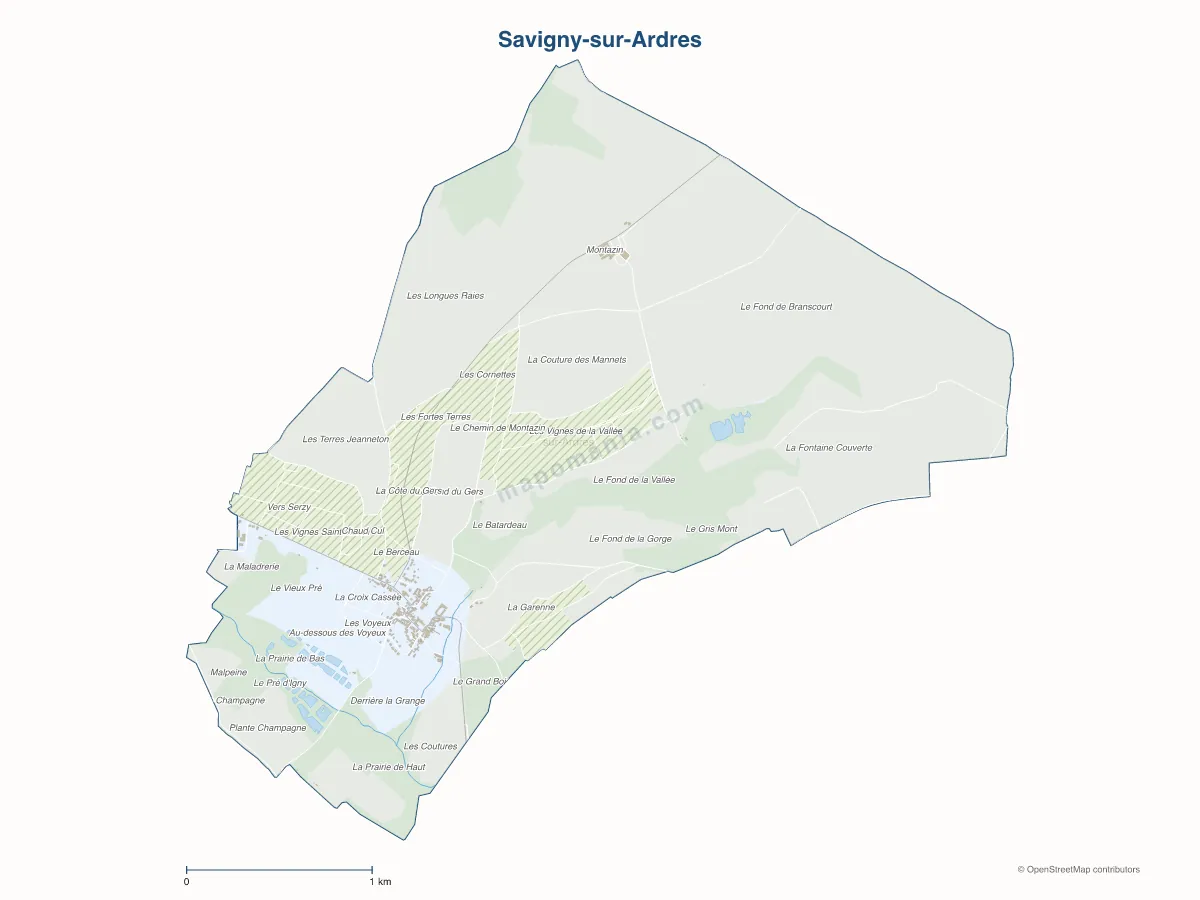 Carte de Savigny-sur-Ardres à personnaliser