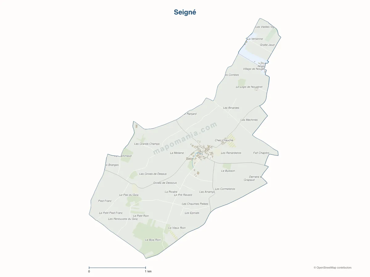 Carte de Seigné à personnaliser