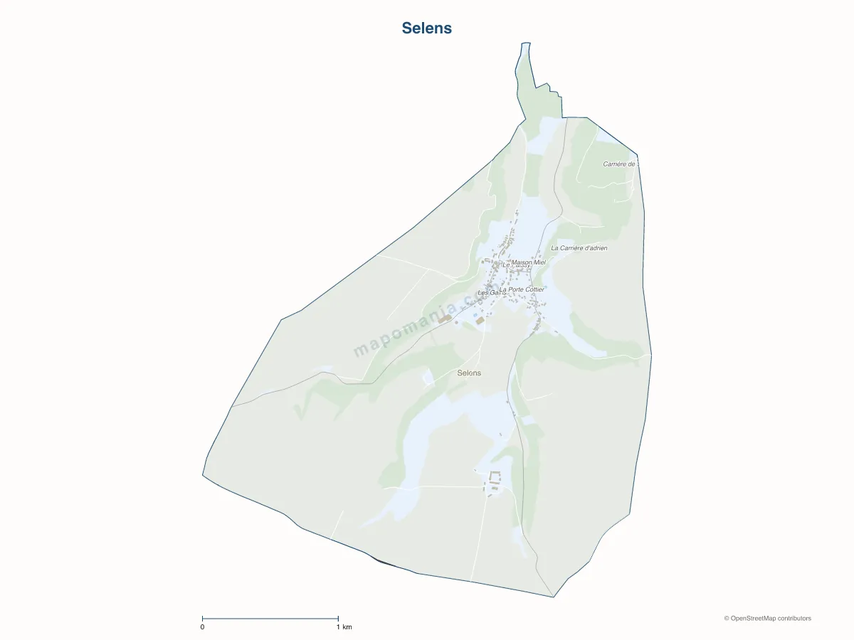Carte de Selens à personnaliser