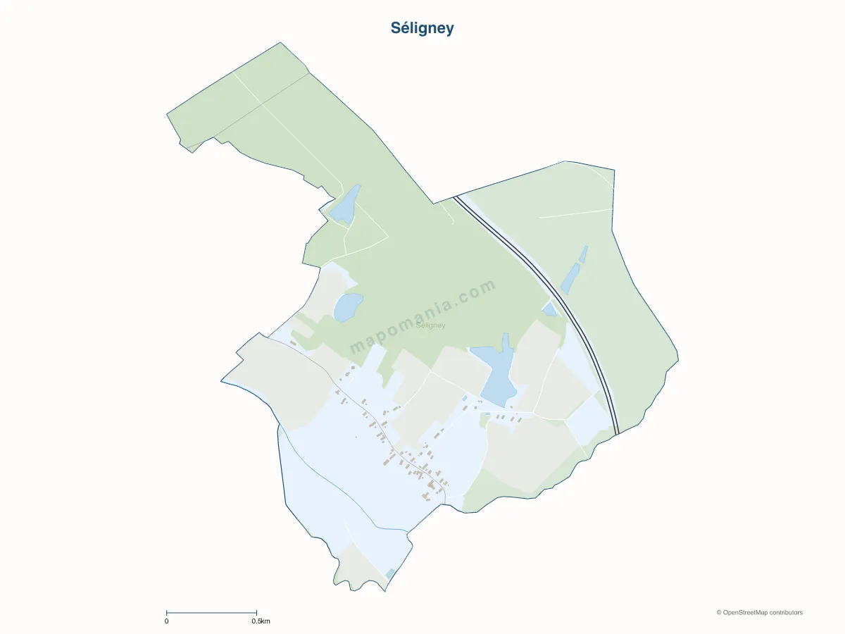 Carte de Séligney à personnaliser