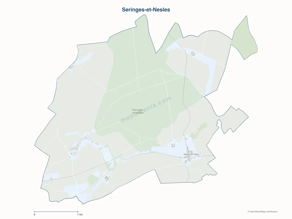 Carte de Seringes-et-Nesles à personnaliser