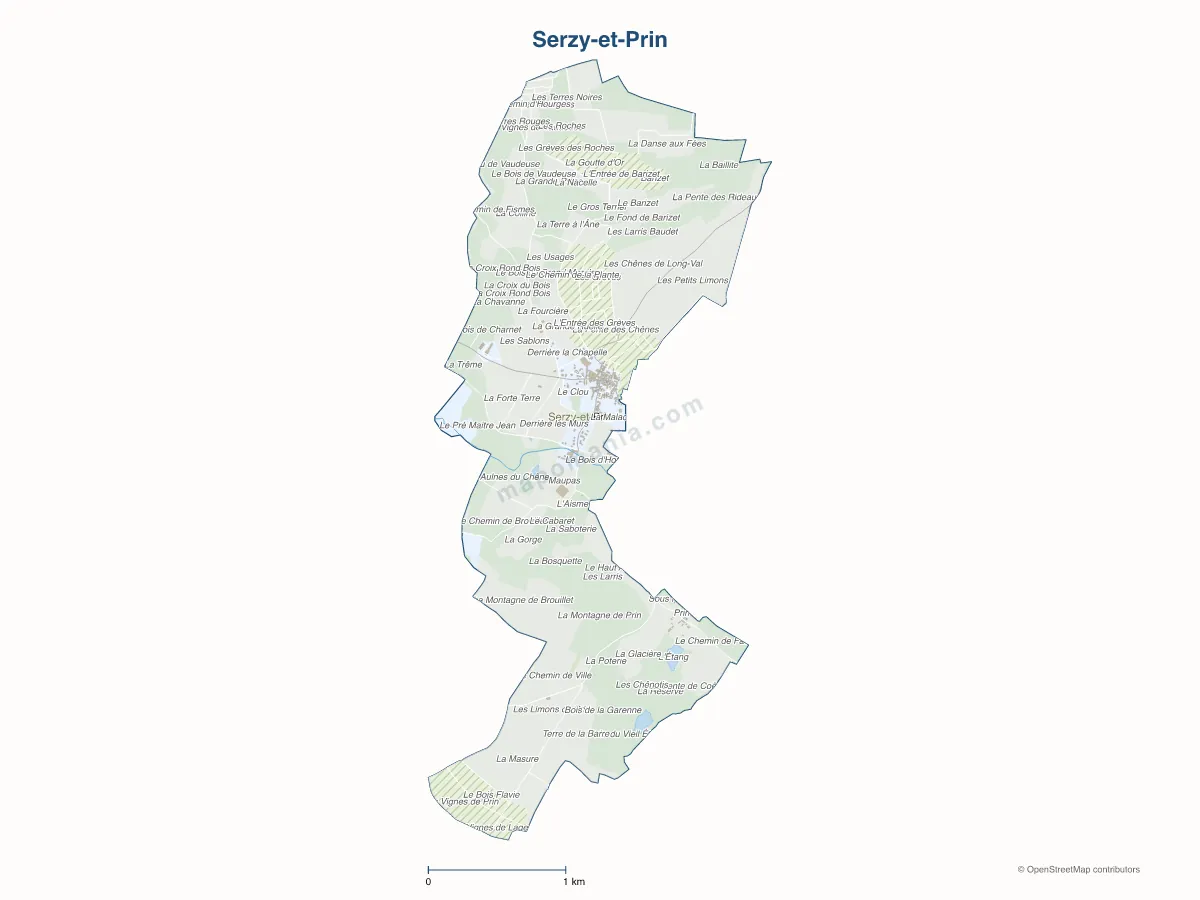 Carte de Serzy-et-Prin à personnaliser