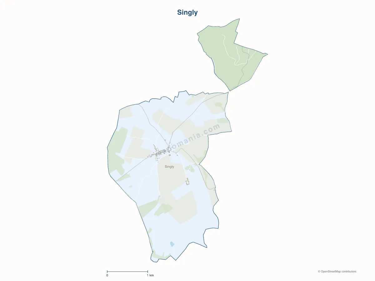 Carte de Singly à personnaliser