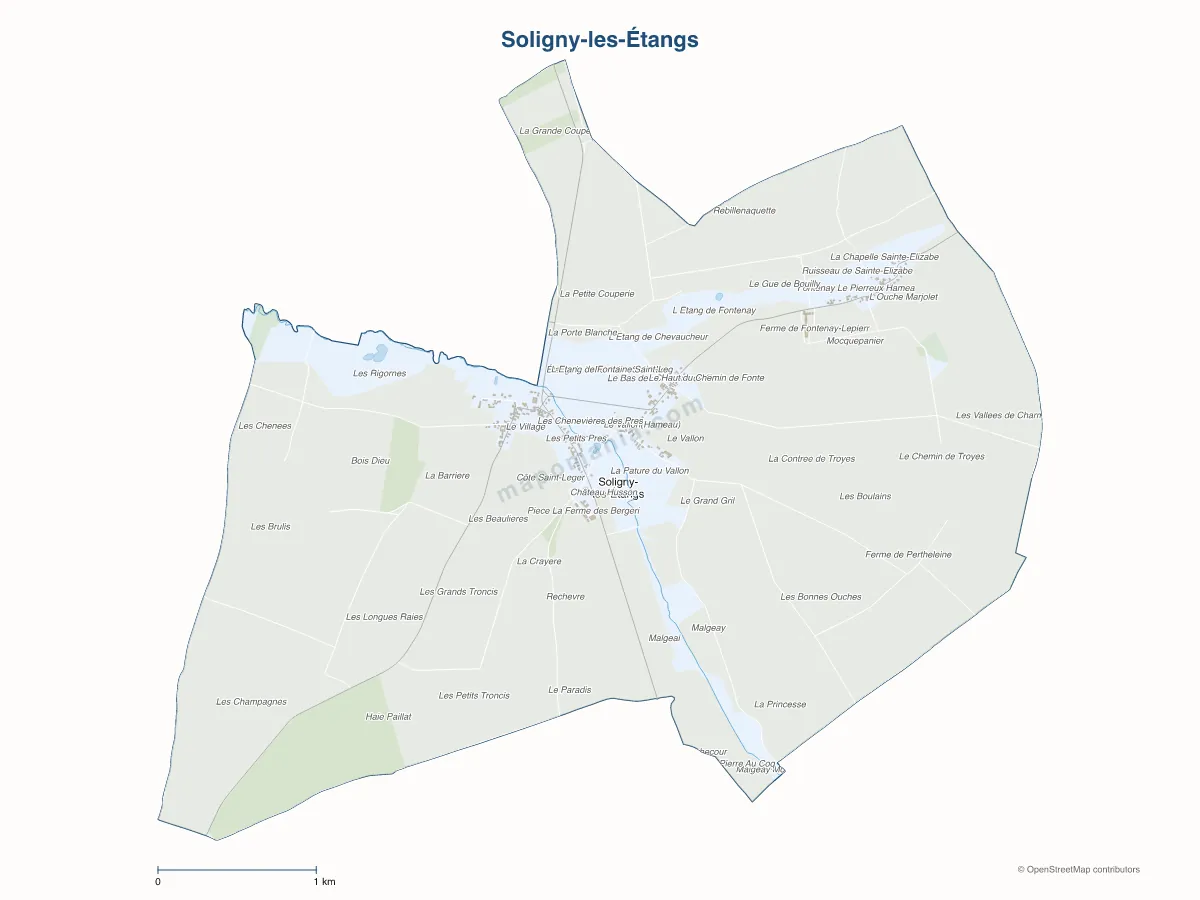 Carte de Soligny-les-Étangs à personnaliser