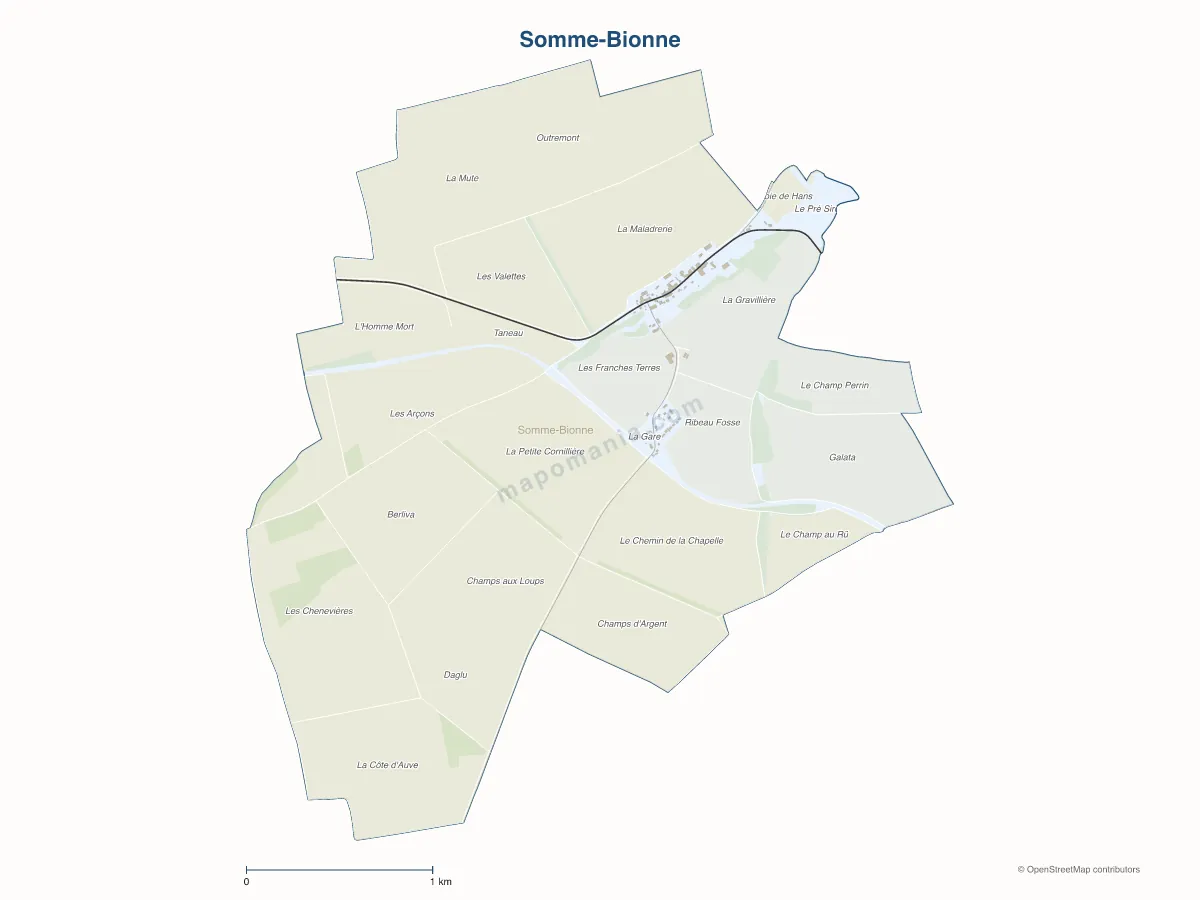 Carte de Somme-Bionne à personnaliser
