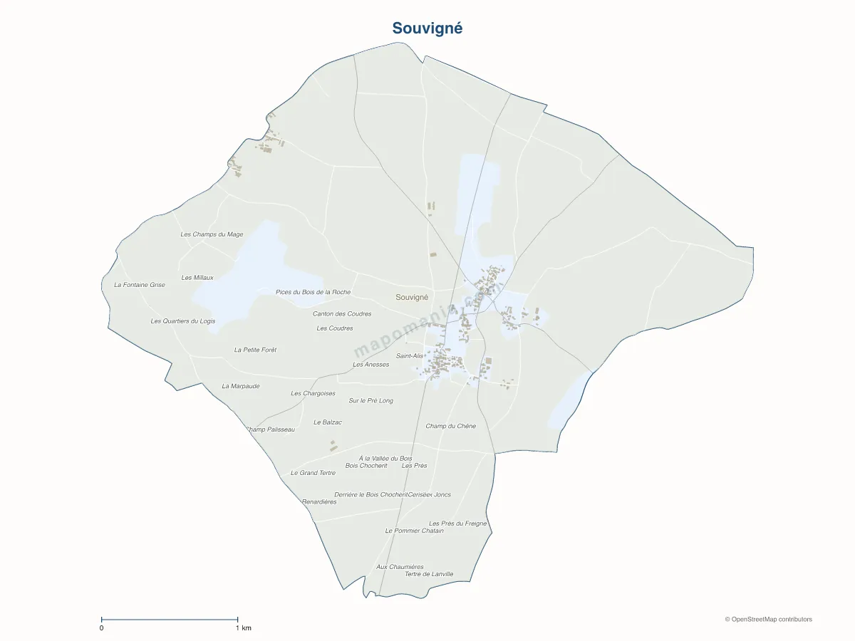 Carte de Souvigné à personnaliser