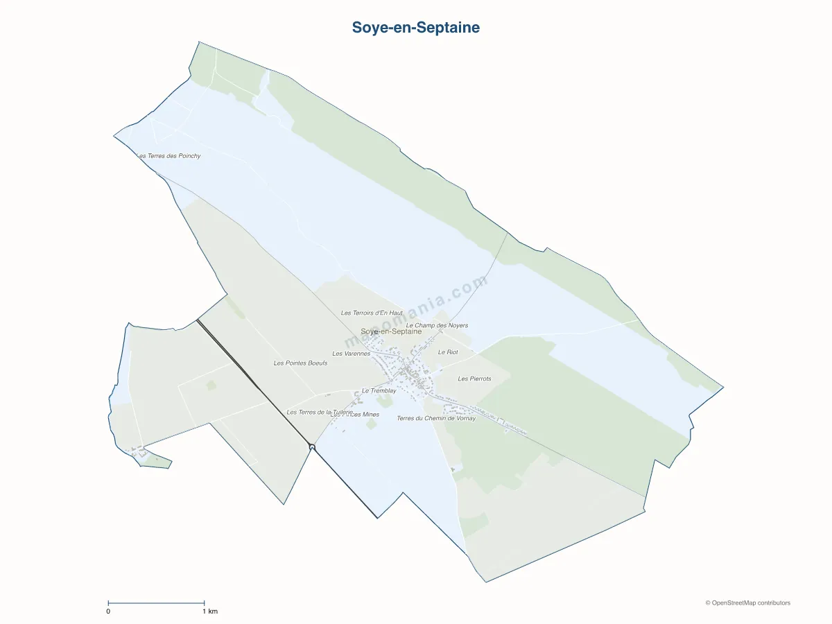 Carte de Soye-en-Septaine à personnaliser