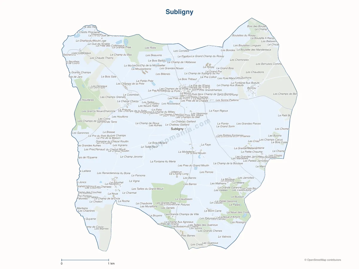 Carte de Subligny à personnaliser