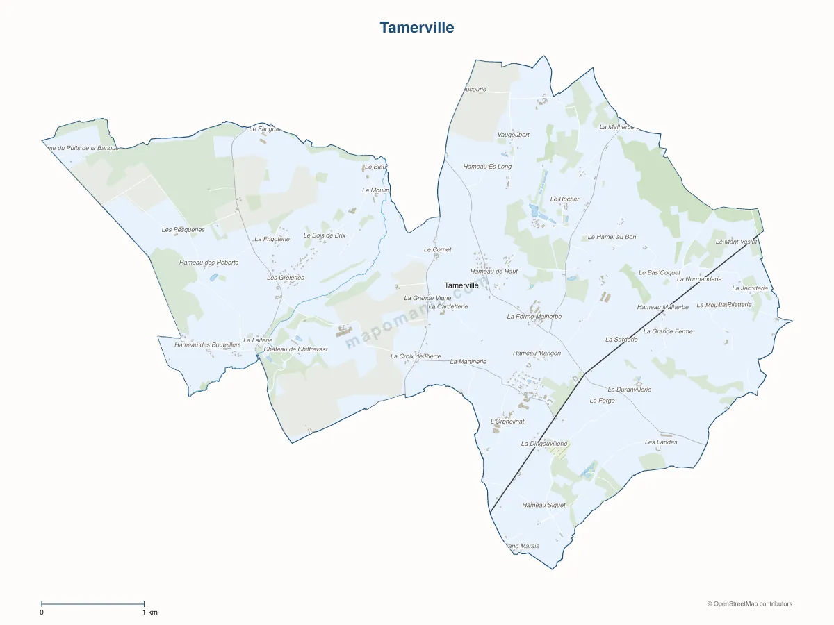 Carte de Tamerville à personnaliser